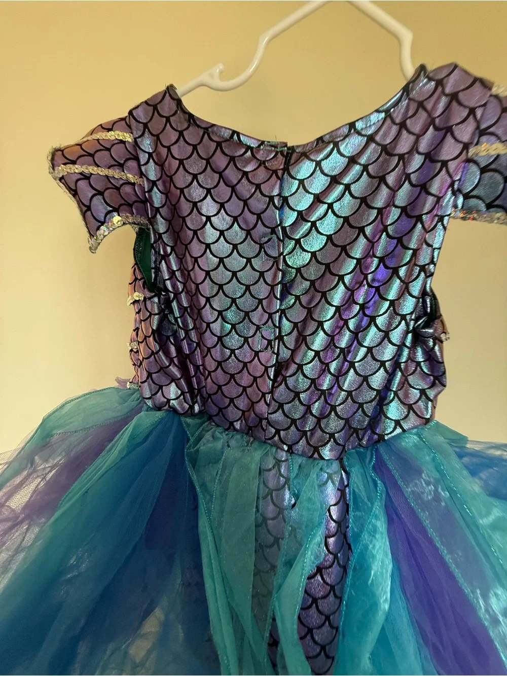 Gillian’s closet Fish costume